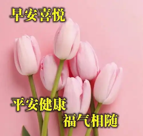 早上好新的一天新的祝福愿你生活甜如蜜每天有个好心情早安