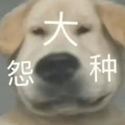 一年20万考研也太费钱了吧