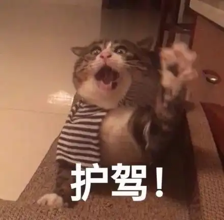 搞笑小段子姑娘倒算讲理,就是说不能被白摸,非得也要摸回来