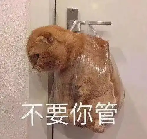 这7种最无效的减肥法,减到吐都不会瘦