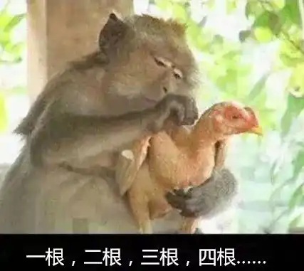 虎骨入药算什么,屎都能吃呢