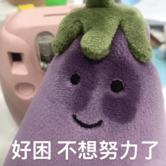 虽然考研不一定卷的过,但是表情包绝对拿捏了