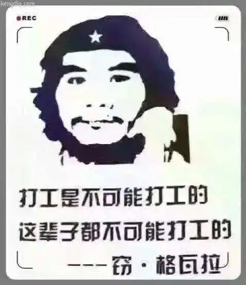 日赚15k的副业,厉害了