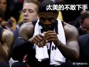 nba搞笑表情包带字