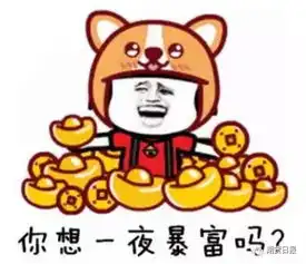 鞋子为什么这样火