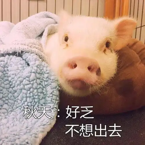 我不想出门的原因..