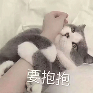 沙雕表情包可爱真的可以为所欲为