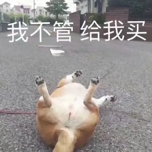 表情包可爱狗勾表情包合集