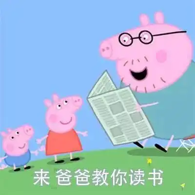 猪年必备表情包大全