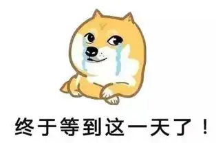 一次奇葩的相亲经验...想死的心都有了