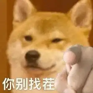 沙雕表情包,丫头,满意吗