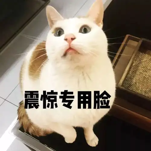 维密最贵内衣大pk今年造价700万的fantasybra史上最便宜