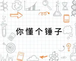 你懂个锤子