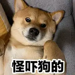 跟你超配的沙雕表情包