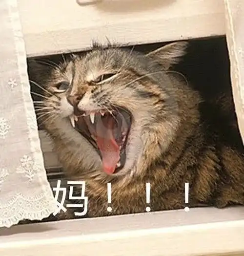 一个有味道的年历