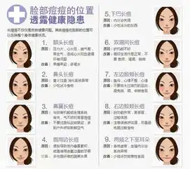脸上长痘痘的位置图解