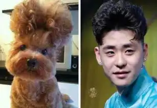 张云雷之萌宠表情包来袭你最喜欢哪一张图片