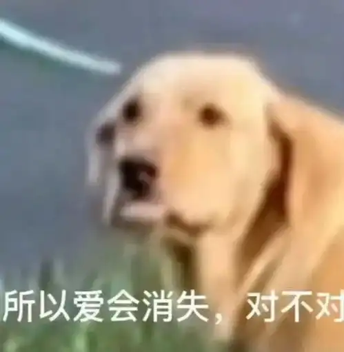 最爱一键拉黑的星座,可挽回程度排行榜