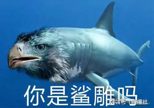 再爆大瓜男星被曝疫情期间约会嫩模,去年曾被评最喜欢的杰尼斯