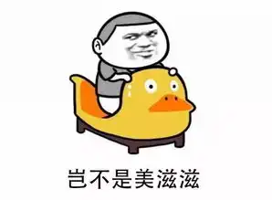 你有帅气骑手,我有宥维弟弟
