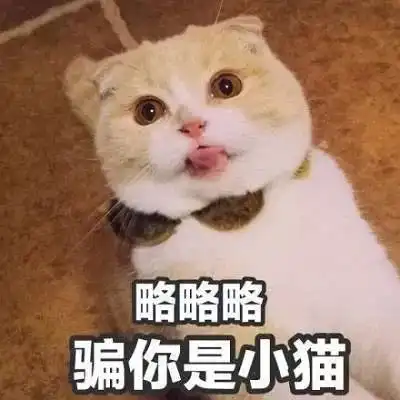 斗图必备表情包i你再这样对我说话会遭雷劈的
