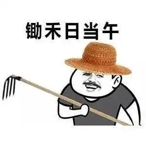 在海南,能做到五条绝对是个狠人