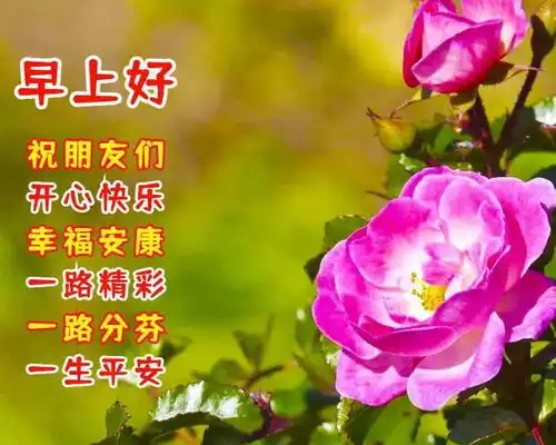 每日清早问候朋友早上好祝福语图片