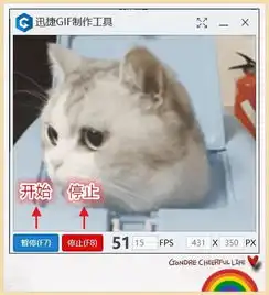 微信7.0.6版本新功能绝了,有了这个黑科技,斗图再也没输过腾讯新闻