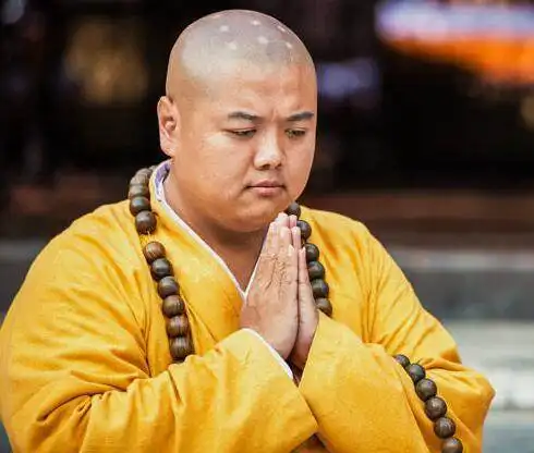 有种意外叫茂茂的儿子,本以为和爹一样胖,结果颜值让人心动