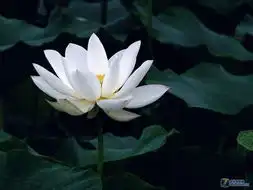 dsc06400