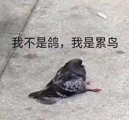 我喜欢了一个男生,但他老爱开我和别的男生的玩笑,说我和谁可能会在一起唉,他会喜欢我吗