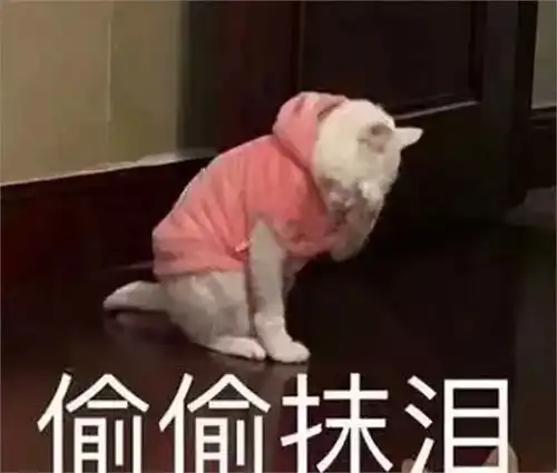 史上最强坑货女婿要是有这样的女婿,女儿我也不要了哈哈哈哈哈