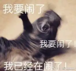 我想知道我的号值多少钱,看有没有人能收了它嗷