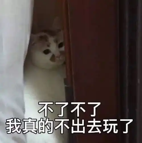表情包图片最新热门的搞笑
