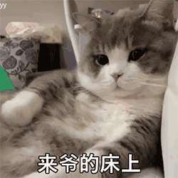一组超猥琐表情包不方便打字的话,可以视频啊