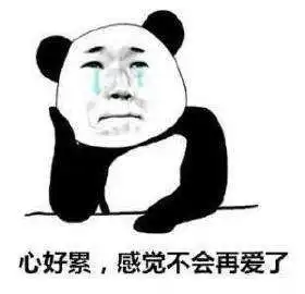 别爱我没结果除非花手摇过我怎么回复
