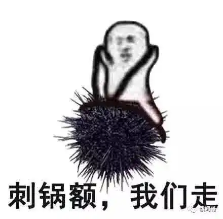 阳阳猪我们走表情图片