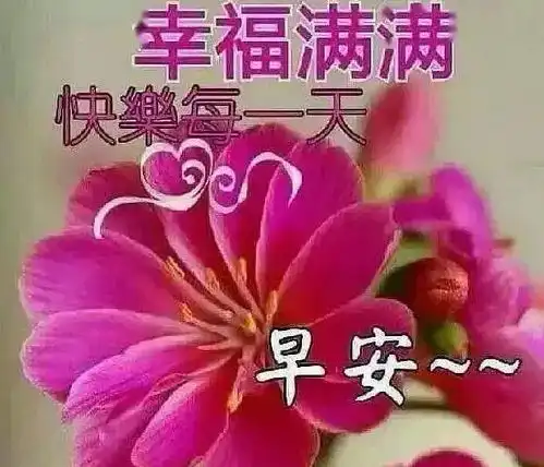 清晨最新版早上好温暖问候动态表情图片暖心的早上好阳光祝福图片
