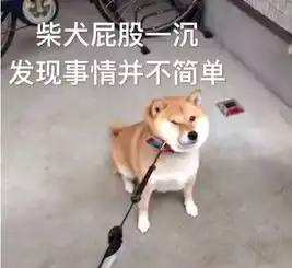 小v充电我们为什么要限制电动车充电时长为8小时
