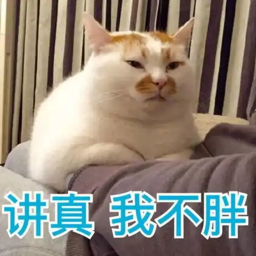 清穿剧女主胖出嬷嬷脸,演员进组不减肥真的是不敬业吗