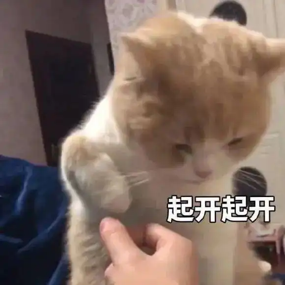 表情包谁会嫌多啊还是这么沙雕的