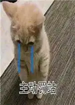 老婆我错了主动罚站表情包萌猫道歉带字表情包下载乐游网游戏下载