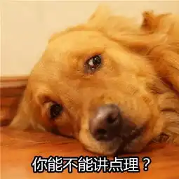 一波吵架专用大金毛表情包,收藏总有一天用的上