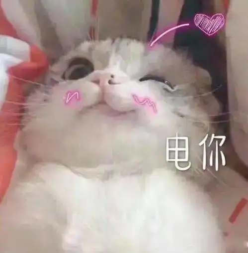 这样打书的帝火伤害巨高一条不出货,本命生肖来救活