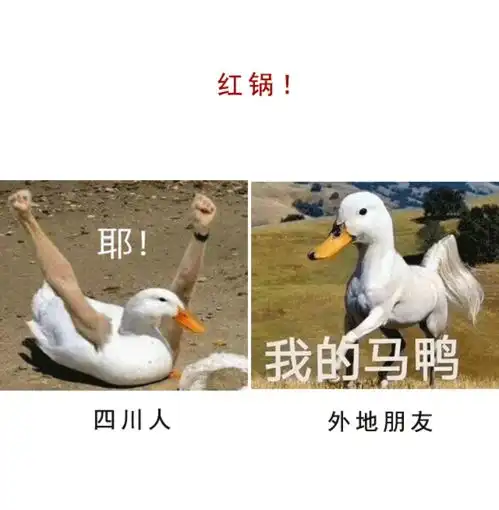 四川人与外地朋友吃火锅表情对比图
